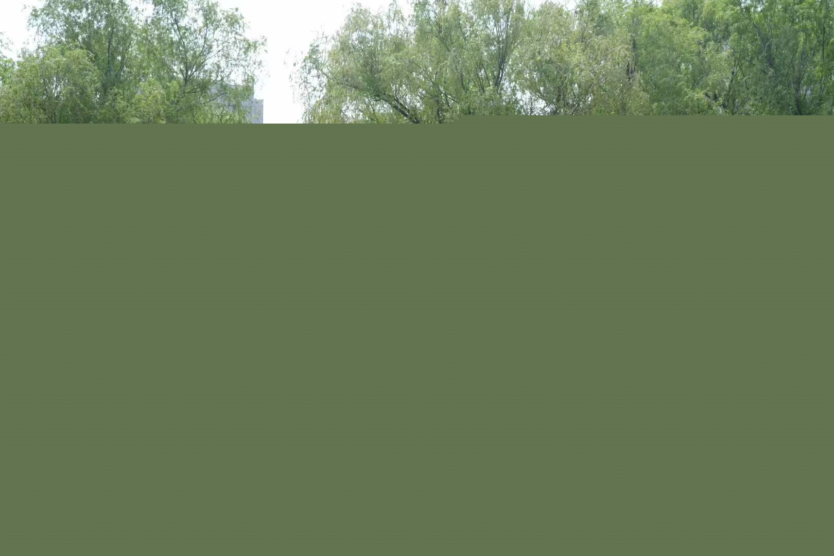 e79663d11fcdd434f4e221b48b09c18.jpg